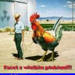 Młody chłopak, 182 cm wzorostu, blondyn…
